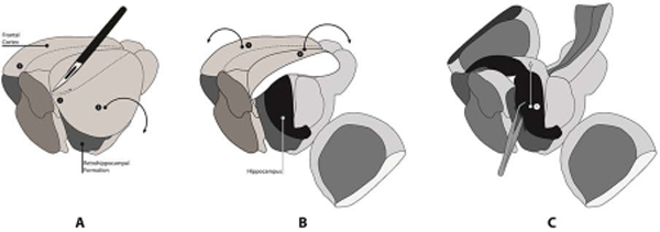 Fig.3