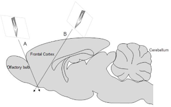 Fig.4