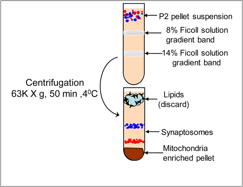 Fig.1