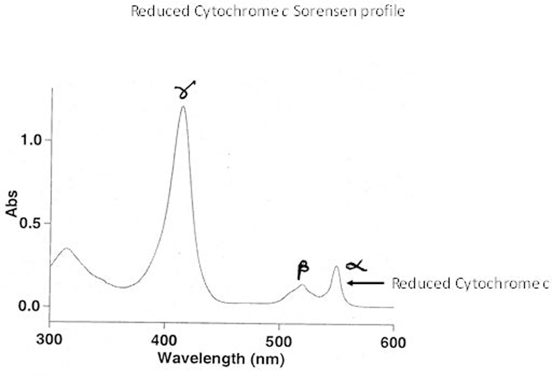 Fig.8