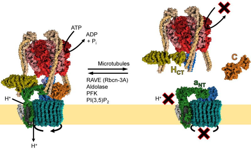 Fig. 2.