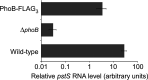 FIG 1