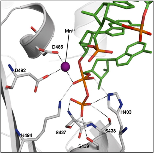 Fig. 7