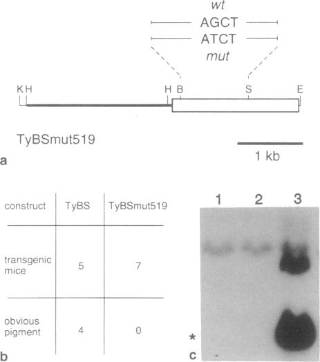 graphic file with name pnas01133-0159-b.jpg