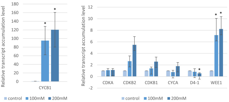 Figure 7