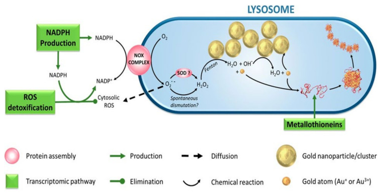 Figure 12