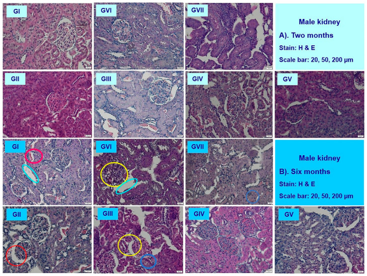 Figure 10