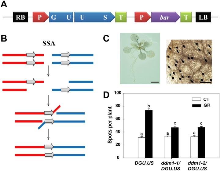 Fig 4