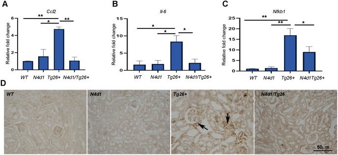 Fig. 7.