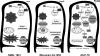 Fig. 8.