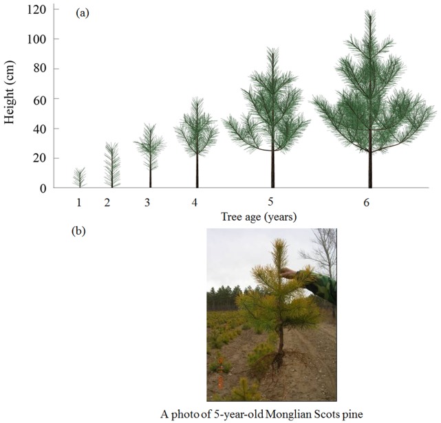 Figure 7