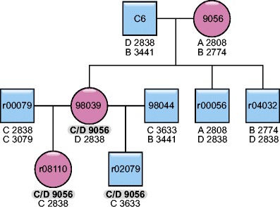 Fig. 2