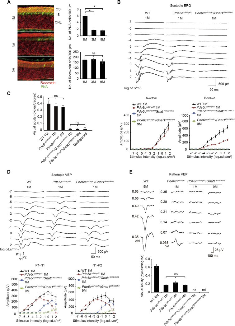 Figure 1