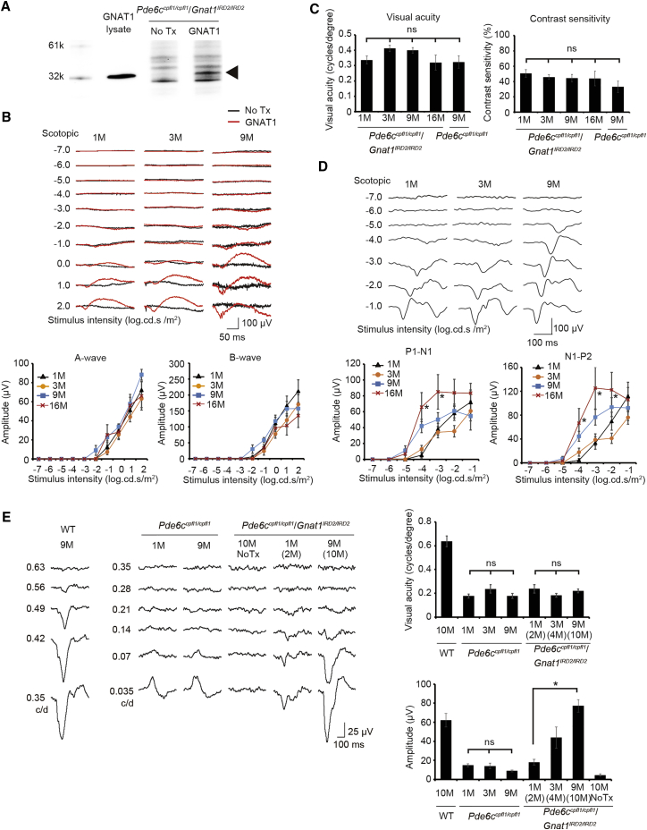 Figure 2