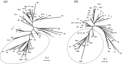 FIG. 4.