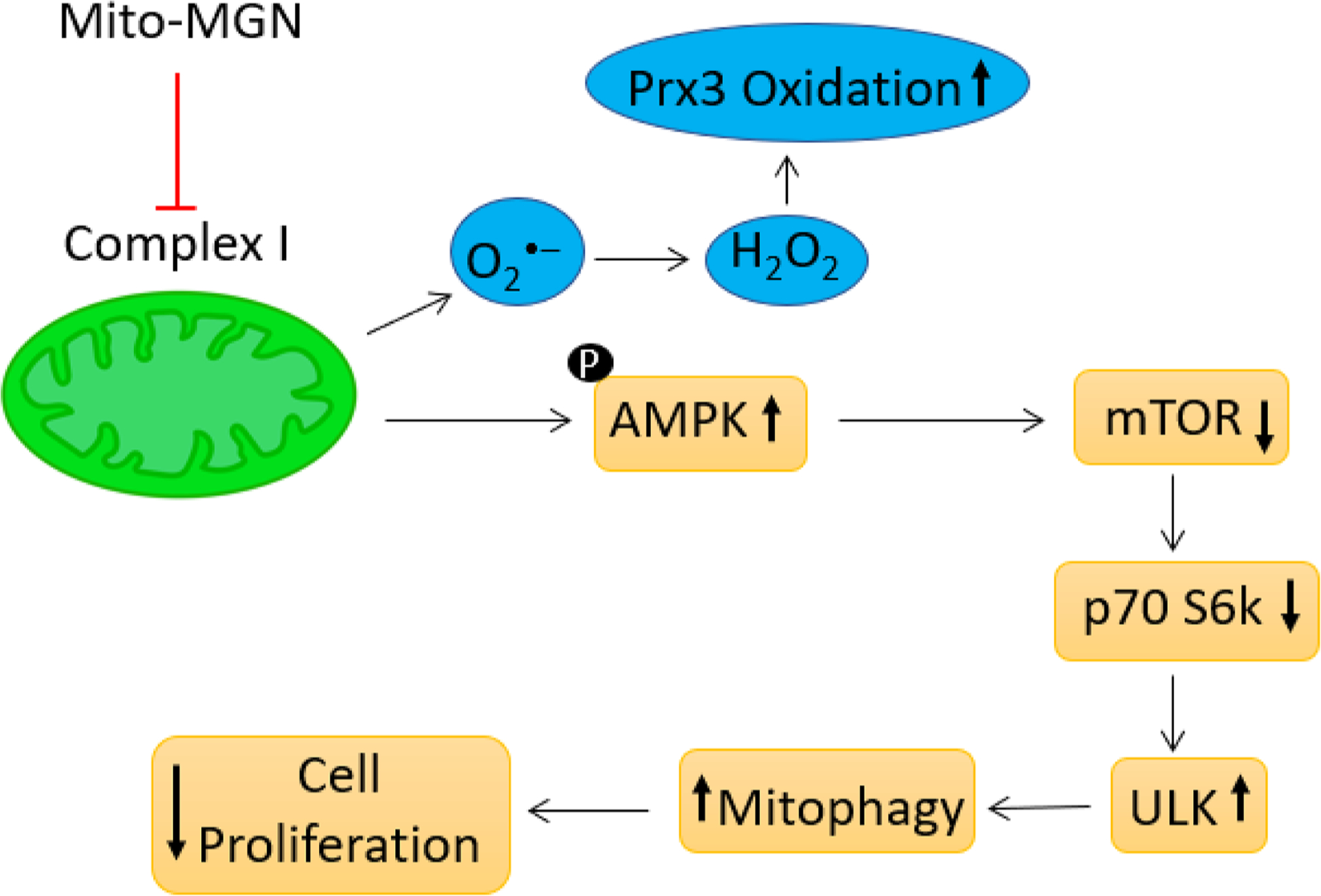 Fig. 10.