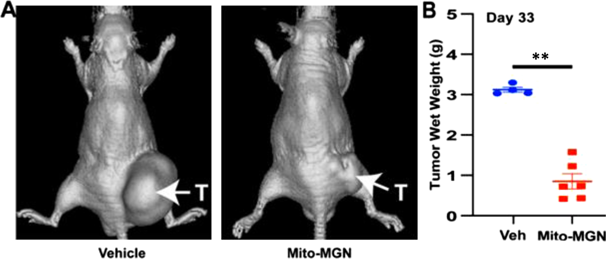 Fig. 9.