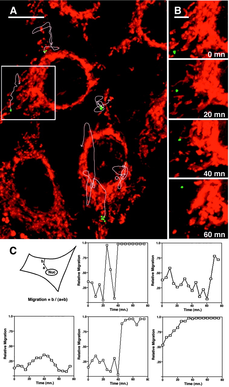 Figure 3.