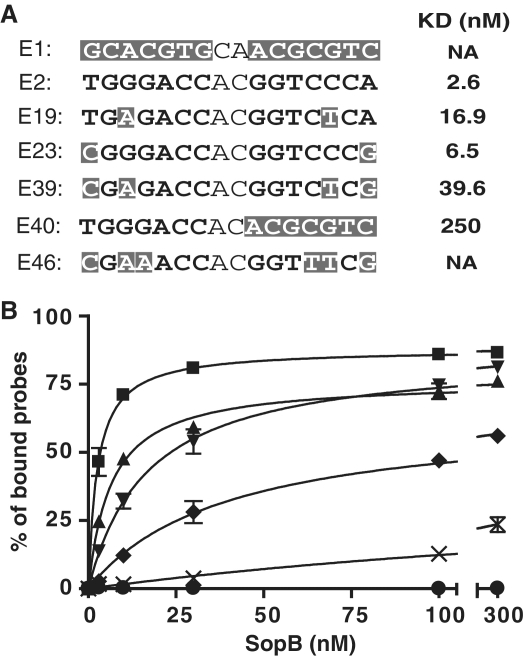 Figure 6.