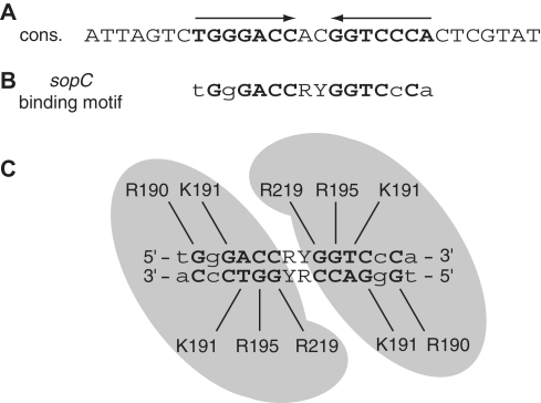 Figure 7.