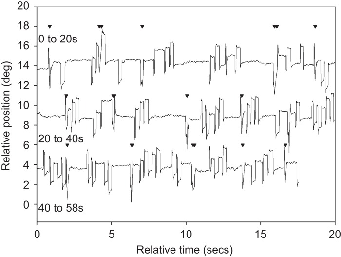 FIGURE 1 