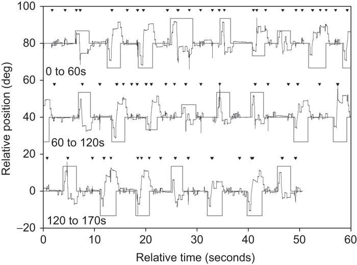 FIGURE 2 