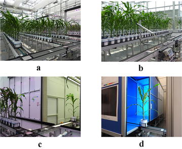 Fig. 8