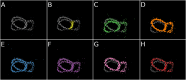 Fig. 4