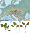 Fig. 1