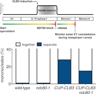 Figure 5—figure supplement 3.