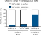 Figure 2—figure supplement 2.