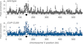 Figure 4—figure supplement 2.