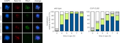 Figure 4—figure supplement 8.