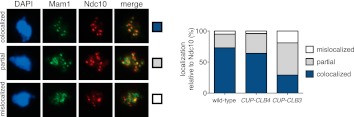 Figure 3—figure supplement 1.