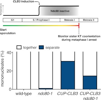 Figure 5—figure supplement 2.