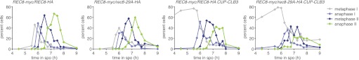 Figure 4—figure supplement 4.