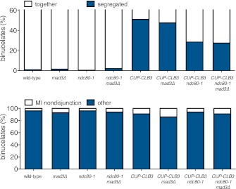 Figure 5—figure supplement 7.