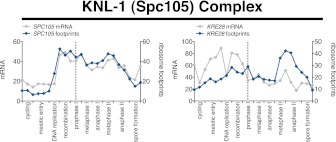 Figure 6—figure supplement 6.