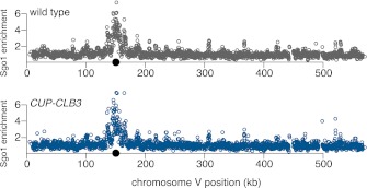 Figure 4—figure supplement 7.