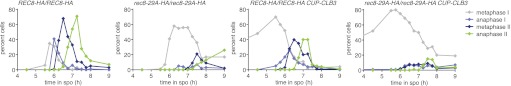 Figure 4—figure supplement 6.