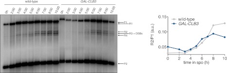 Figure 2—figure supplement 5.