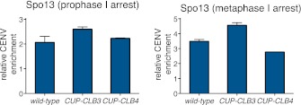 Figure 4—figure supplement 9.