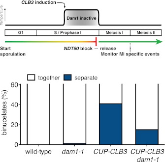 Figure 5—figure supplement 5.