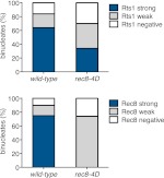 Figure 4—figure supplement 11.