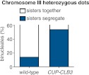 Figure 2—figure supplement 3.