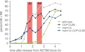 Figure 4—figure supplement 3.