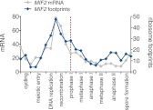 Figure 6—figure supplement 5.