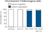 Figure 2—figure supplement 8.