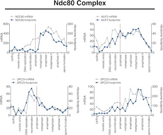 Figure 6—figure supplement 4.