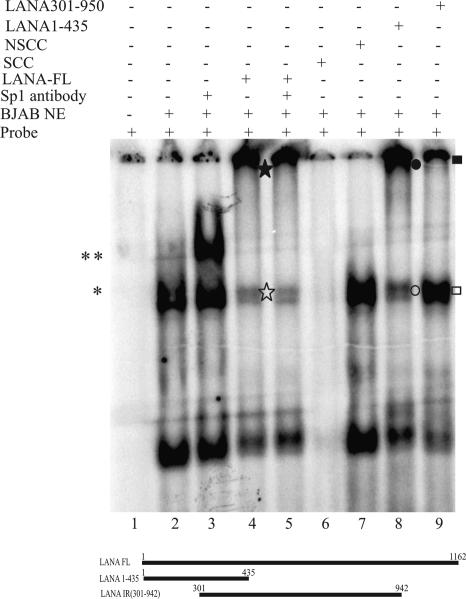 FIG. 8.